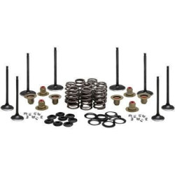 PartzBiz HD DS09263222 - Kibblewhite 20-23350 Black Diamond Stainless Steel Valve Kit Harley M8 2017-Up