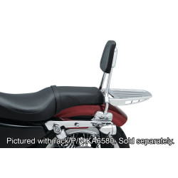 PartzBiz HD KA6582 - Kuryakyn 6582 พนักพิงซิสซี่บาร์ Chrome Harley Davidson Sportster XL 04-20 PartzBiz HD KA6582 - Kuryakyn 6582 พนักพิงซิสซี่บาร์ Chrome Harley Davidson Sportster XL 04-20