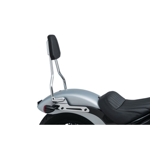 PartzBiz HD: 4412925-Kuryakyn 6587 พนักพิงซิสซี่บาร์ Chrome Harley Davidson M8 Softail 18-20
