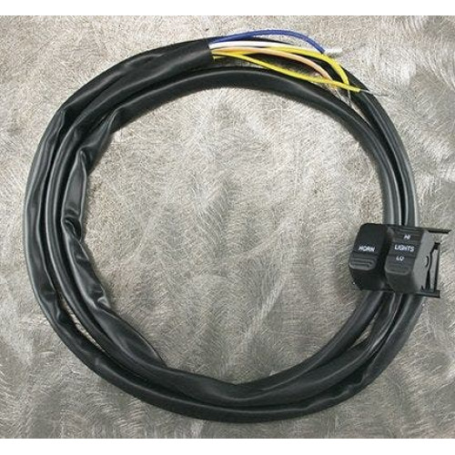 PartzBiz HD: 4409046-MidWest 17-107 Ultima Black Hi Lo Light & Horn Switch Harley Davidson Big Twin Touring Softail Sportster สายไฟปุ่มควบคุมมือจับเปลี่ยนใหม่ที่ดีที่สุดอัพเกรดโรงงานสต็อก OE PartzBiz HD: 4409046-MidWest 17-107 Ultima Black Hi Lo Light & Horn Switch Harley Davidson Big Twin Touring Softail Sportster สายไฟปุ่มควบคุมมือจับเปลี่ยนใหม่ที่ดีที่สุดอัพเกรดโรงงานสต็อก OE