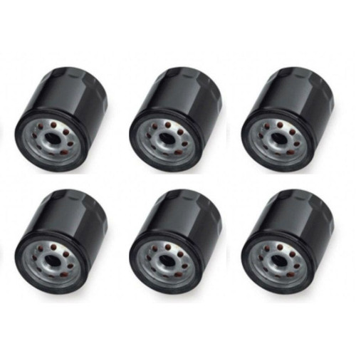 PartzBiz HD: 4408778-Motor Factory 22-251 Set of Six Black Oil Filters Harley T/C 99-16 Repl. 63731-99
