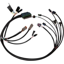 PartzBiz HD WP850-08774 - Namz NHD-70233-02 ชุดสายไฟ EFI ที่สมบูรณ์ OE 70233-02 Harley FLH/T 02-05 2120-1019 NHD-70233-02 ดีที่สุดสำหรับ davidson ฝ่าวงล้อมไขมันบ๊อบถนนถนน glide
