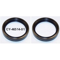 PartzBiz HD CY4651401 x2 - ใหม่ 2 แพ็ค 49 มม.ด้านหน้าส้อมซีล Harley Touring 84-up Repl OE #46514-01 PartzBiz HD CY4651401 x2 - ใหม่ 2 แพ็ค 49 มม.ด้านหน้าส้อมซีล Harley Touring 84-up Repl OE #46514-01