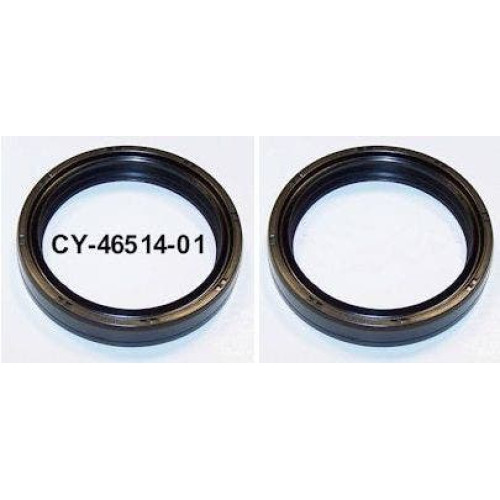 PartzBiz HD: 4408207-ใหม่ 2 แพ็ค 49 มม.ด้านหน้าส้อมซีล Harley Touring 84-up Repl OE #46514-01 PartzBiz HD: 4408207-ใหม่ 2 แพ็ค 49 มม.ด้านหน้าส้อมซีล Harley Touring 84-up Repl OE #46514-01