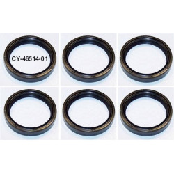 PartzBiz HD CY46514-01 X6 - ใหม่ 6 แพ็ค 49 มม.ด้านหน้าส้อมซีล Harley Touring 84-up Repl OE #46514-01 PartzBiz HD CY46514-01 X6 - ใหม่ 6 แพ็ค 49 มม.ด้านหน้าส้อมซีล Harley Touring 84-up Repl OE #46514-01