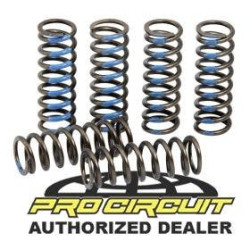 PartzBiz HD DS11313380 - ชุดสปริงคลัทช์ Pro Circuit '19 Yamaha YZ250F CSY19250-CS -15% แข็ง- 1131-3380 11313380