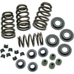 PartzBiz HD SS106-5909 - S&S 106-5909 Sidewinder .650" Valve Spring Kit Twin Cam 05-18 Sportster 04-20