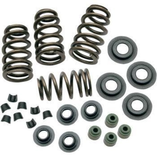 PartzBiz HD: 4404390-S&S 106-5909 Sidewinder .650 ” ชุดสปริงวาล์ว Twin Cam 05-18 Sportster 04-20