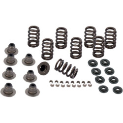 PartzBiz HD SS900-0958 - S&S Cycle 900-0958 Sidewinder .605" Valve Spring Kit 17-19 Harley Davidson Milwaukee M8 M-Eight Touring Softail Performance Upgrade Replacement Engine Power 0926-2972 09262972