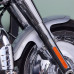 PartzBiz HD: FDR-FL160-BAS-Hoprousa Motorcycle Fenders Custom Short Front Fender Barracuda Silver With Pinstripe Fits for 2018-2022 Harley Softail Fat Boy - Default Title PartzBiz HD: FDR-FL160-BAS-Hoprousa Motorcycle Fenders Custom Short Front Fender Barracuda Silver With Pinstripe Fits for 2018-2022 Harley Softail Fat Boy - Default Title