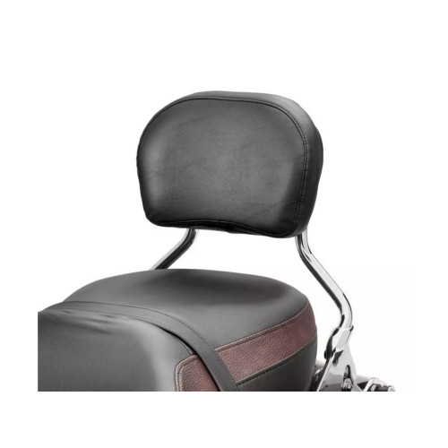 PartzBiz HD: 5000116-Air Wing Pillion Back Cushion 