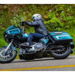 PartzBiz HD SD-4652 - Speed ​​Dealer Customs Swingarm - Harley Davidson Baggers 2009 ถึง 2024