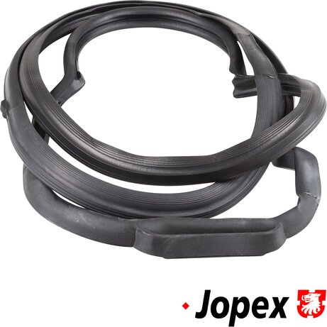 PartzBiz CE 8385701570 - Door seal, rear left