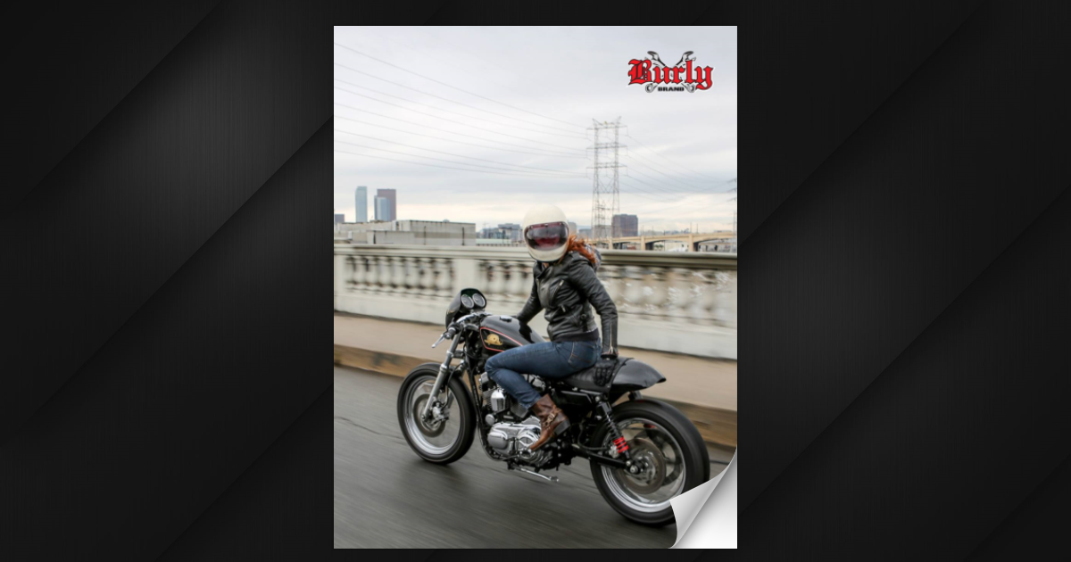 PartzBiz HD 3444550 - Burly สีดำสั้น Sissy Bar พนักพิง Harley Sportster XL 2004-2020 883 1200