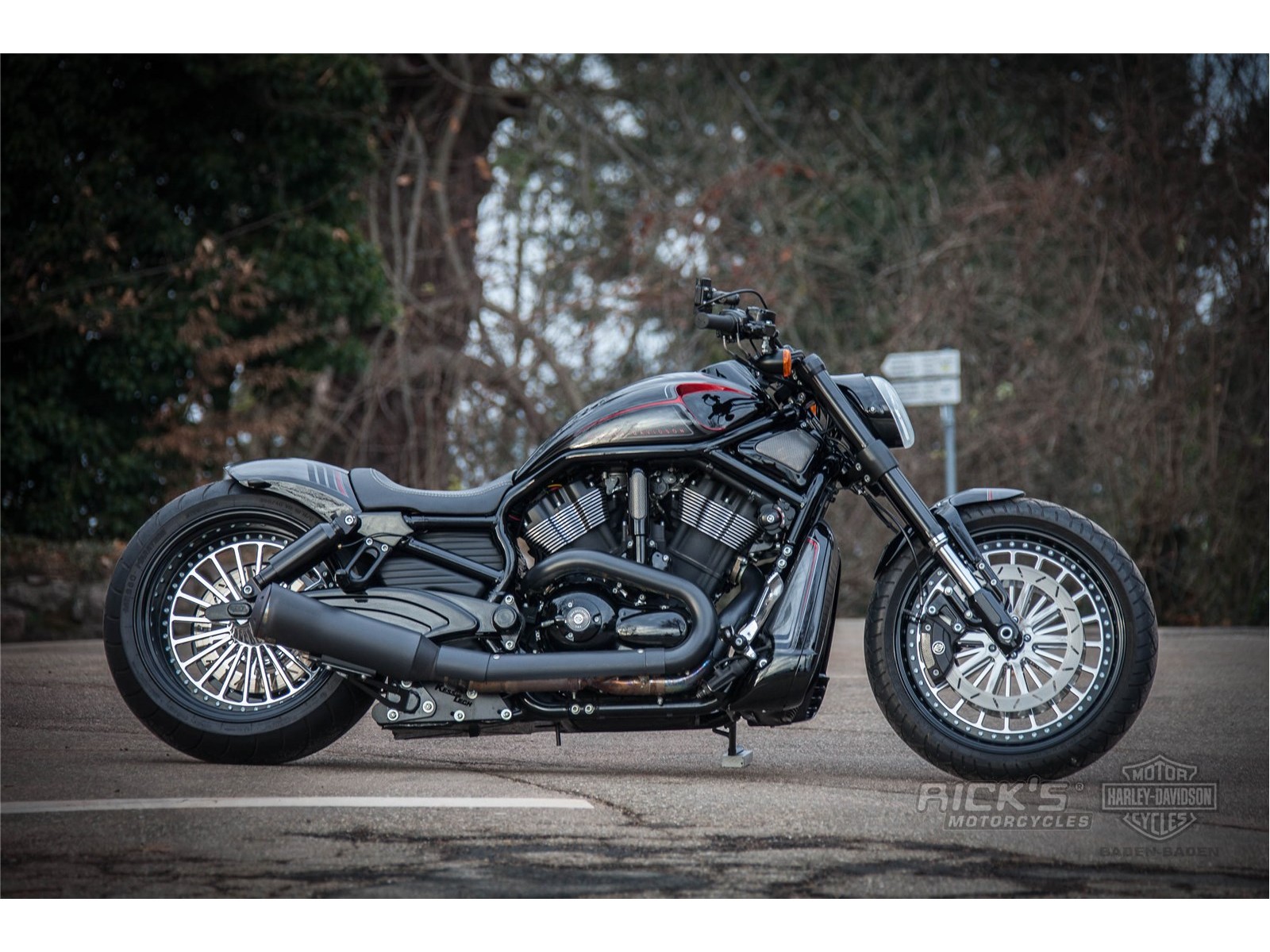 PartzBiz HD 5500746 - สวิงอาร์ม Rick’s V-Rod XL อะลูมิเนียมขัดเงา เบรกข้าง ABS
